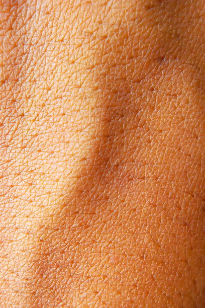 亚洲男人手纹图片下载