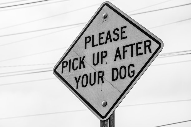 狗的迹象图片下载