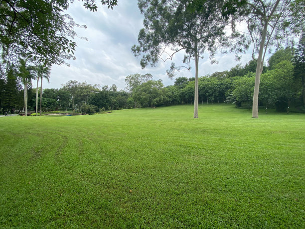 中国广州的景观背景图片下载