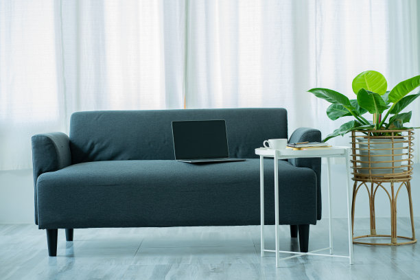 灰色沙发和花盆在现代房间斯堪的纳维亚风格的客厅真实照片图片下载