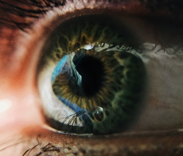 绿色的眼睛图片下载