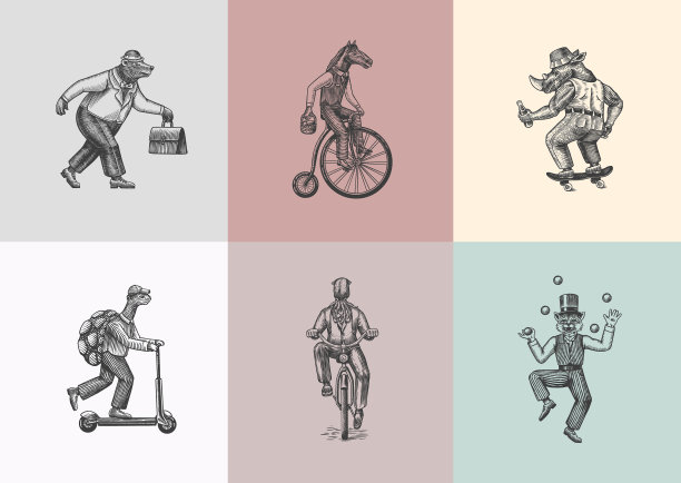 猫杂耍乌龟骑摩托车熊马图片下载