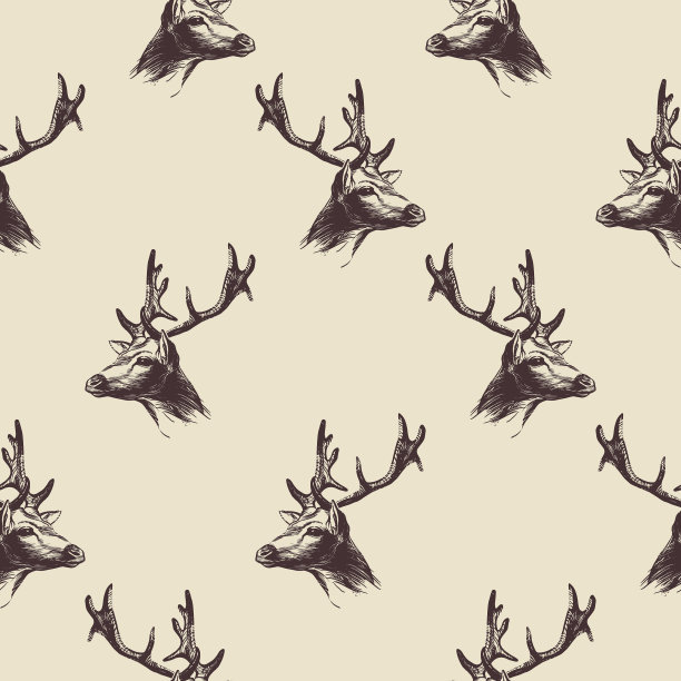 手绘鹿头图案在米色背景图片下载
