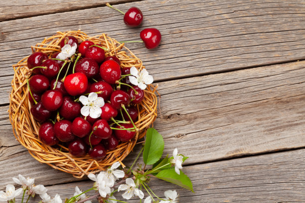 成熟的樱桃配樱花图片下载