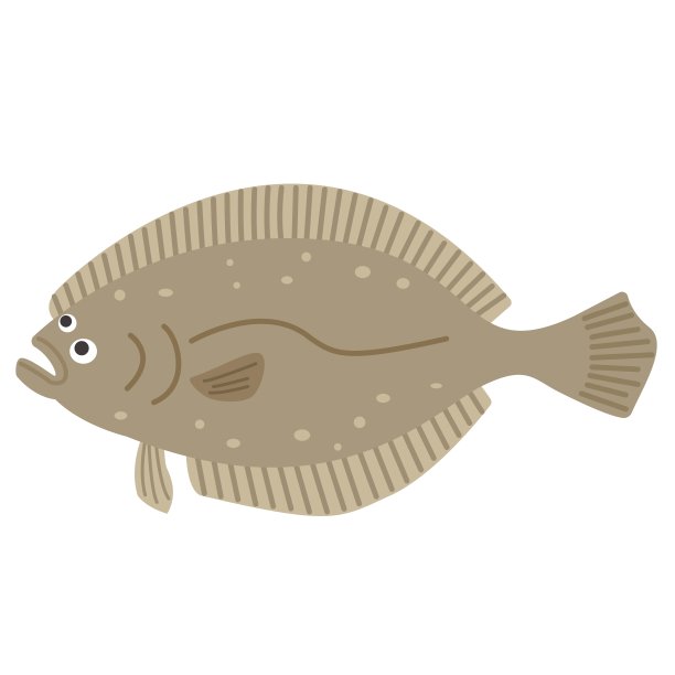 插图的比目鱼图片下载