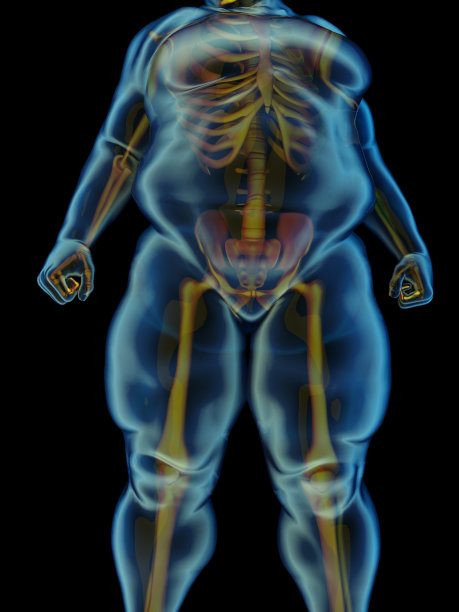 胖子。图片下载