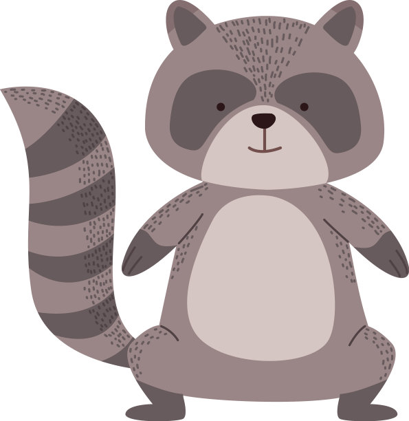 可爱的浣熊动物图片下载