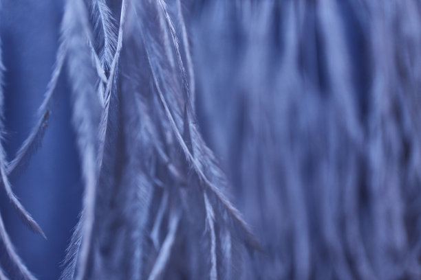 特写pf织物的羊毛质地图片下载