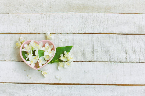 浪漫的卡茉莉心形粉红色碗图片下载