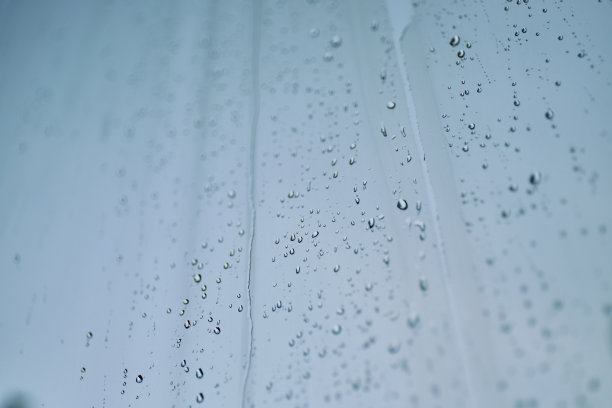 水滴在透明的背景图片下载