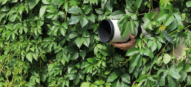 摄影师躲在树叶里图片下载