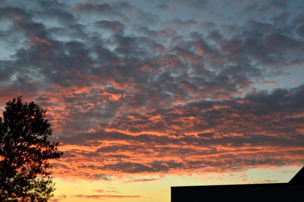 日落在比利时图片下载