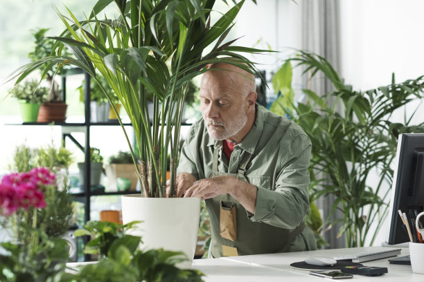 花卉专家和园丁检查植物在他的商店图片下载