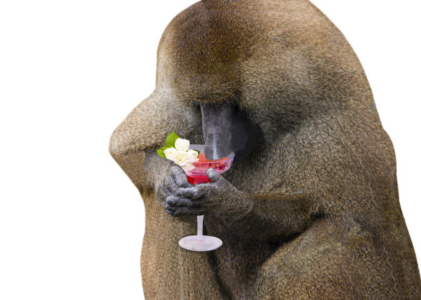 拿着酒的搞笑狒狒图片下载