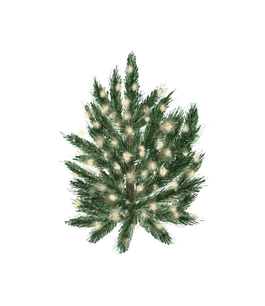 常绿松树在乡村花盆与圣诞灯，松果，冷杉。水彩插图。农舍圣诞树孤立在白色背景上图片下载