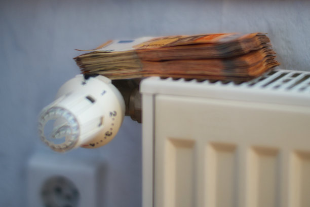 德国疯狂的供暖成本图片下载