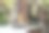 《白眼莺(梅次郎)》坐在花园的桌子上。吃由一个人准备的种子这张照片是在春天的阳光下拍摄的。图片下载