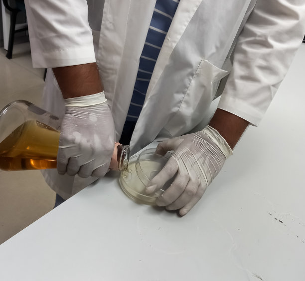 技师将培养基倒入水红UTI琼脂平板制备，培养出革兰氏阳性菌和革兰氏阴性菌。图片下载