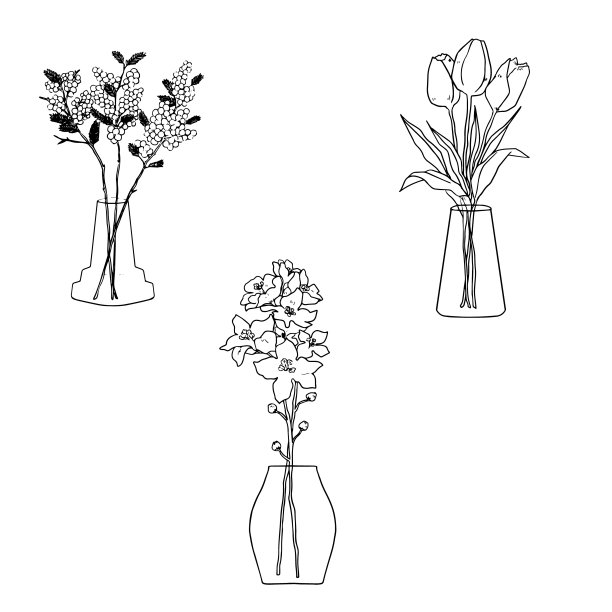 手绘线条画花瓶中的一朵花的插图图片下载