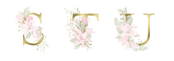 水彩金色花字母集粉红色的花，软绿色的叶子和金色的飞溅。花的信件。婚礼请柬，宝宝洗礼，升华设计，生日，其他概念创意。图片下载