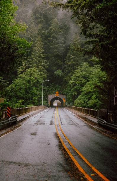 一个男人站在巴杰旁边的画像图片下载
