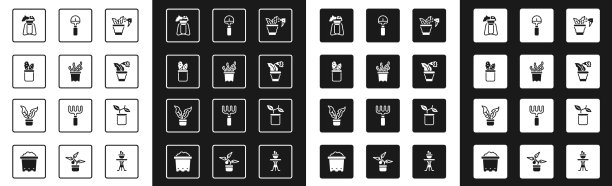 集喷植异国热带盆栽仙人掌图片下载