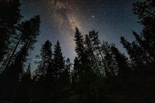 星夜，银河，树木图片下载