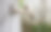 户外花园水龙头与流动水的特写图片下载