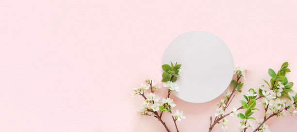 圆形讲台上有开花的苹果树枝，用于产品展示。抽象最小几何形式在粉红色的背景。一橱窗，白色的花，柔和的影。现场,显示。俯视图，平铺。图片下载