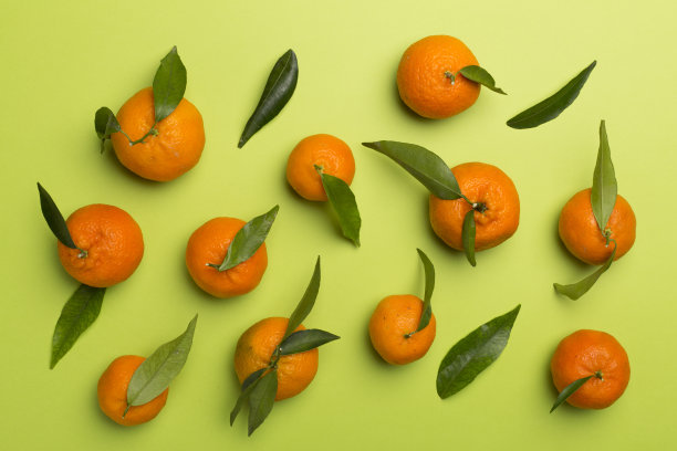 扁平的铺上新鲜的橘子在彩色的背景图片下载