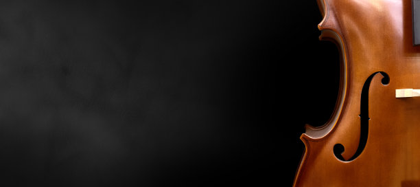 黑色背景上的小提琴。图片下载