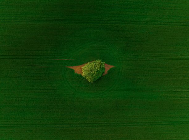 一树山图片下载