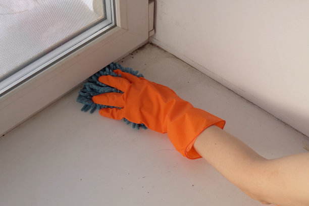 女性用手擦拭窗台，减少过敏原，给房间以新鲜感图片下载
