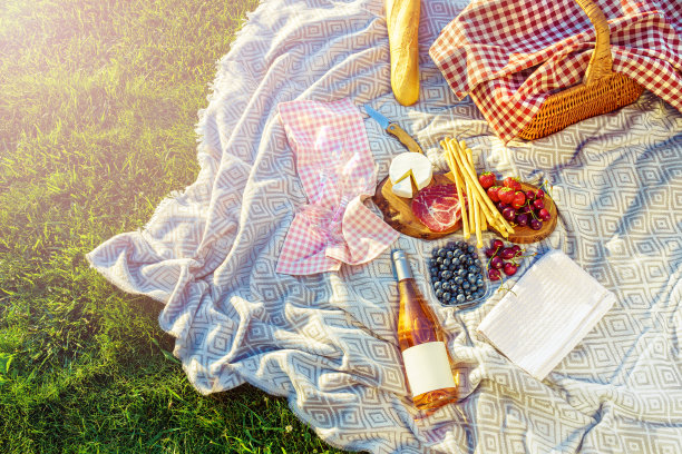 在大自然中野餐。毯子上有野餐篮、葡萄酒、浆果、火腿、奶酪和面包。图片下载