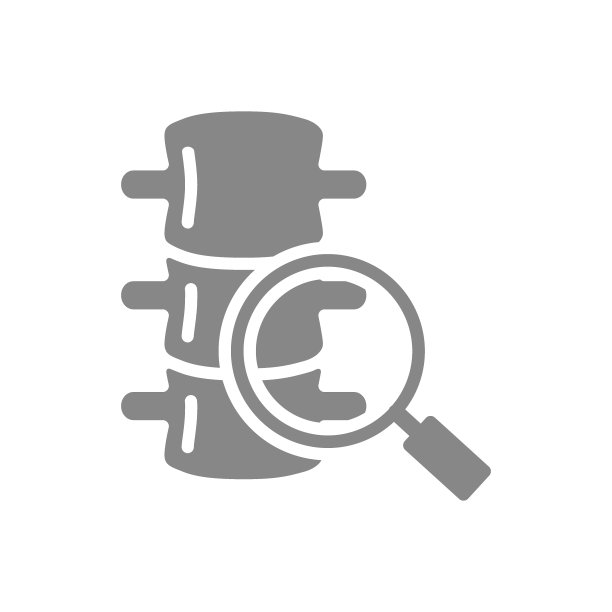 脊柱与放大镜灰色图标。椎骨研究符号图片下载