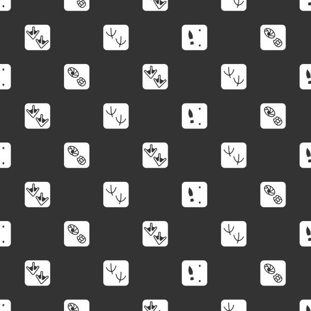 设人足迹鞋鹅爪和鸽子图片下载