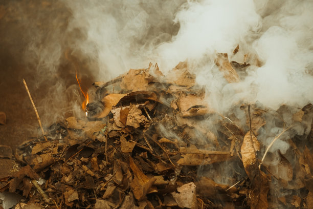 燃烧的有机废物图片下载