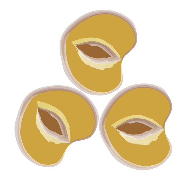 水彩风格的桃子图片下载