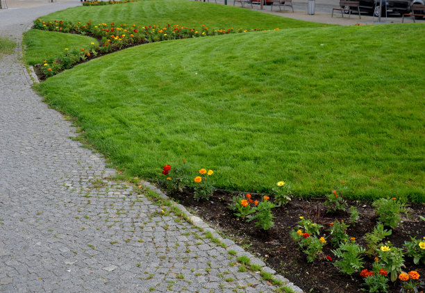 在花坛上种植多年生植物。每年返利是各种月牙树割之间的地形波的割草机已割图片下载