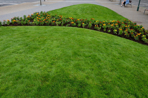 在花坛上种植多年生植物。每年返利是各种月牙树割之间的地形波的割草机已割图片下载