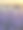 美丽的野花在夕阳的光芒下图片下载
