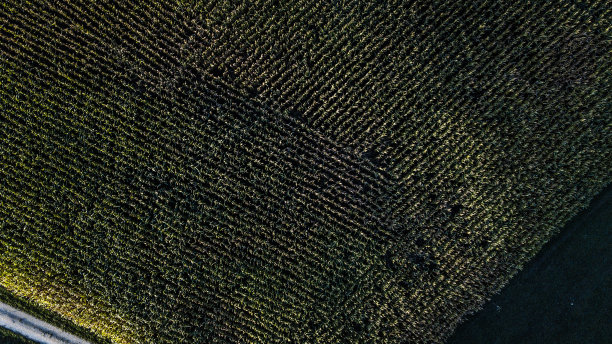 空中风景图片下载