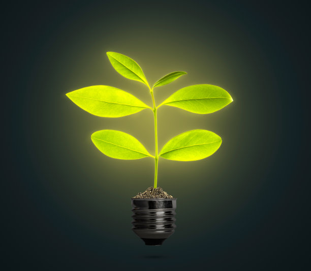 绿色能源理念与植物灯泡图片下载