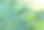 蜻蜓在荷花上，动物在池塘上生活。图片下载