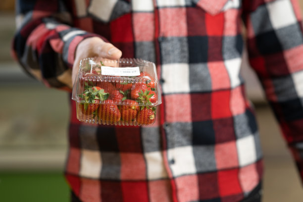 现代超市里售货员给顾客送草莓，商店里新鲜的有机水果和浆果，装在容器里的草莓图片下载