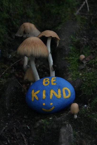 岩石艺术画图片下载