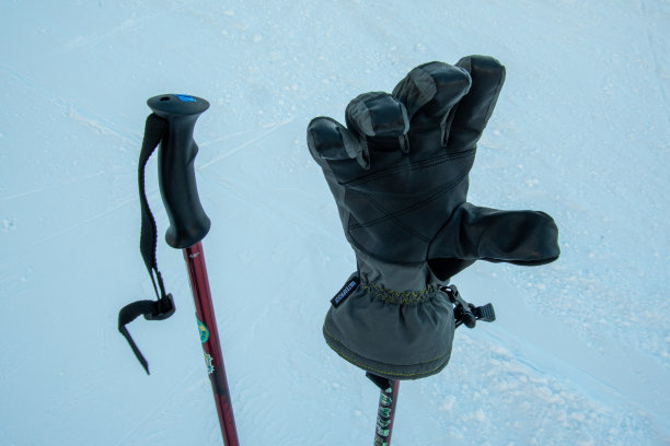 滑雪杖和手套图片下载