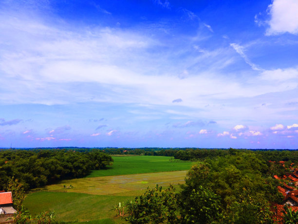 从高处俯瞰树木，这村庄的魅力之美图片下载