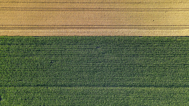 春季农业区图片下载