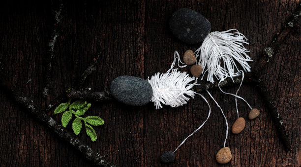 爱情概念背景下，夫妻俩骨架坐在树枝上，脑袋从鹅卵石上，幸福地坠入爱河图片下载